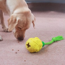 PASTEL PET 狗狗鳳梨嗅聞拉扯遊戲玩具, 混合顏色, 1個