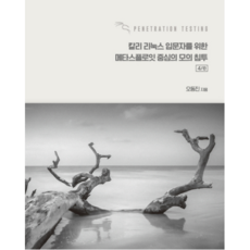 Acorn Publishing Kali Linux初學者Metasploit模擬滲透