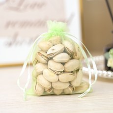 올쉴드 새 해충방지 과일보호 메쉬그물망 망사주머니 02 과일 녹색 20 x 30 cm, 30개