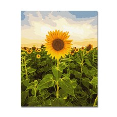 向日葵畫 DIY 油畫套組 Gaon Sunflower, 混色