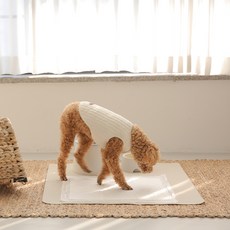 dfang 基本款狗狗用防滑尿布墊, 乳白色, 2入