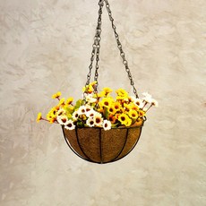 발코니 단철 꽃 바구니 에어플랜트 화분 옐로우 화이트 국화 20cm, 1개