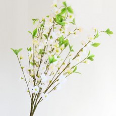 櫻花枝, 白色, 1個