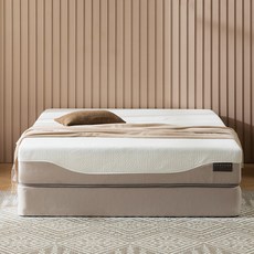 홈랩 메모리폼 기절 매트리스 방문설치, 25cm, 소프트