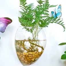 Roylife 空氣淨化植物滑鼠造型花瓶 小型 + 無痕壁掛套組, 混合顏色