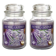 르미에 캔들, 570g, 2개, 바이올렛 에끌라