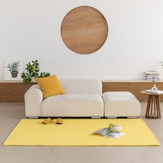 스타일러그 포그니 워셔블 거실 러그