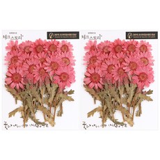 checkstory 瑪格麗特莖壓40p, 粉紅色染料