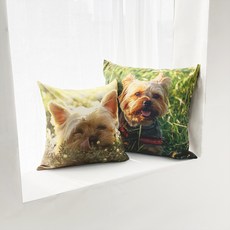 Nabisongil 狗狗照片雙面印刷方形抱枕, 畫報約克夏㹴