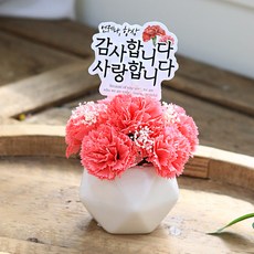 센트바스켓 조화 블러쉬 카네이션 비누꽃 센터피스 + 토퍼 + 캐리어 세트, 베리핑크, 1세트