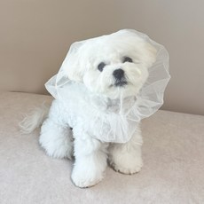 그루밍댕이 반려동물 해충방지 페이스 커버 버그가드, 화이트, 1개