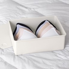 이즈리빙 칸칸칸 속옷 정리함 1칸, 아이보리 + 아이보리뚜껑, 1개