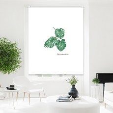 필로덴드론 실사롤스크린 일반원단