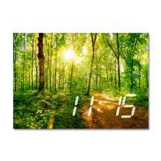 홈마인 LED 시계 캔버스 프린팅 액자 자연 A3, A3-HM-ECO-24