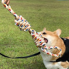 雙繩結寵物玩具, 1個