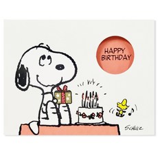 Hallmark 史努比立體生日賀卡組, 815547, 1套