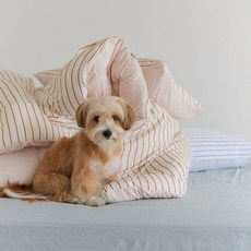 Gitden 可與寵物共用 並排條紋四季薄被, 蜂蜜杏仁