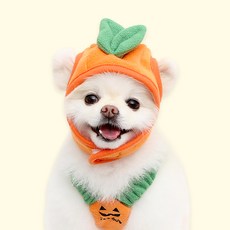 ITS DOG 狗狗酸甜橘子帽, 混合色