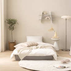 엔슬립 스탠다드 에펙토 스프링 매트리스 H 방문설치, 210mm, 하드