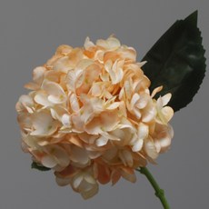 So&Young 繡球花人造花裝飾品 2入, 香檳色