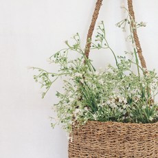 Cojeutteu春天植物室內綠色素材霧花人造花, 混色