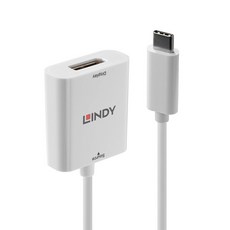 LINDY 林帝 主動式USB3.1 Type-C to DisplayPort 轉接器, 1個, 43245