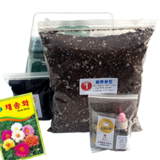 하늘e정원 누구나 쉽게 책상 위의 텃밭 과학 실험 채송화 식물 기르기 키트 세트 250p