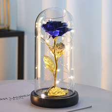 PEACH LED 玫瑰花氣氛燈 室內照明, 藍金色