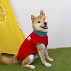 Coco studio 寵物秋冬大型犬服飾 聚酯纖維刷毛 Color Pop 大型犬拉鍊T恤, 紅色, 1個