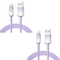 케이스틱 그라데이션 60w 고속충전 A타입-8핀 케이블, 블루, 2개, 1m 블루, 2개, 1m