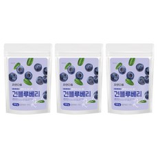 자연다움 건블루베리, 3개, 100g