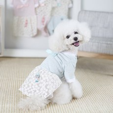 AMYLOVESPET 花朵印花韓服寵物連身裙, 薄荷