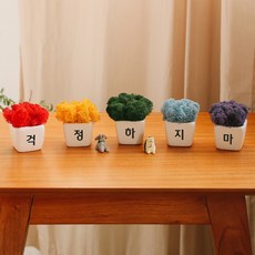 무지개 응원 스칸디아 모스화분 5종 + 피규어 랜덤발송 2p 세트 걱정하지마, 1세트