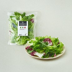 저스트그린 유러피안 루꼴라 믹스, 200g, 1개