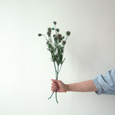 GAPANG 乾燥花 DRYB087, 藍色 15號