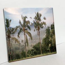 HTP 磁磚 霧中棕櫚樹樣貌 C689