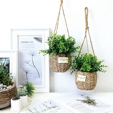 Garden in the City 桉樹吊籃道具2p, 混色