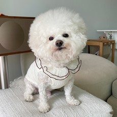 bydamsoomi 狗狗蕾絲麻花針織衫, 象牙白