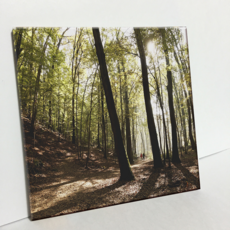HTP 瓷磚 克羅埃西亞的茂密森林 C1976, 1個