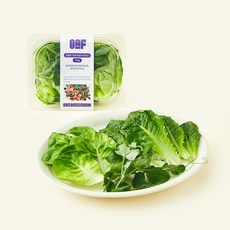 원에이커팜 무농약 인증 피슈트 완두순 믹스, 100g, 1개, 1개입