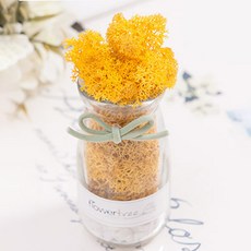 플라워트리 리본스칸디아유리병12cm 조화화분, 1개, 옐로우