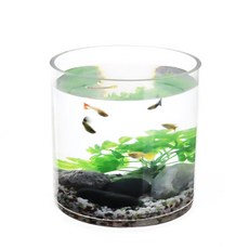 Leaf Sae Living 圓柱形 2020 魚缸套組, 混色