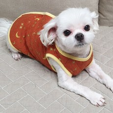 도기코디 별달누빔 강아지 조끼, 오렌지, 1개