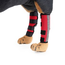 寵物關節護腿套 VIB-6 L號 紅色, 1個