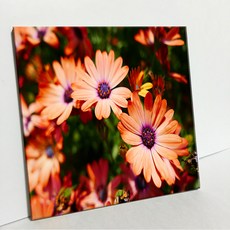 UDP 瓷磚畫框 A型 3916661, 單一顏色