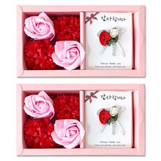 香皂花康乃馨零用錢盒 小 + 感謝卡 Z65-1, 混合色, 2套