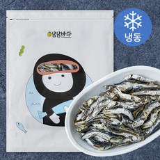 냠냠바다 진한국물 실속형 멸치 국물용 (냉동), 1개, 500g