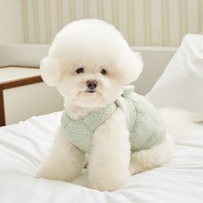 BENNYS 狗狗杯子蛋糕蝴蝶結洋裝, 綠色