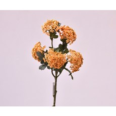 GAPANG 乾米花 DRYE116, 數字 01 橙色