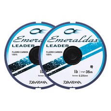 DAIWA Emeraldas Leader Carbon Shock 釣魚繩 2.5 號 2p, 自然綠色